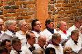 Wienermusik på Wasavis