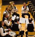 Wienermusik på Wasavis